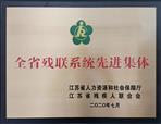 全省残联系统先进集体
