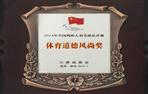 2014年全国残疾人羽毛球公开赛